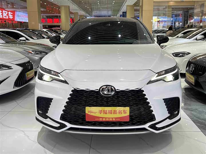 Фото 2 - Lexus RX