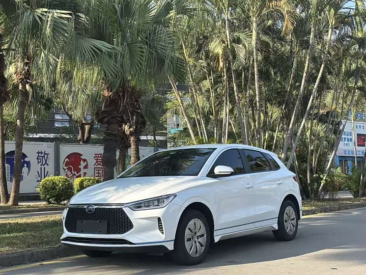 Фото 1 - BYD E2