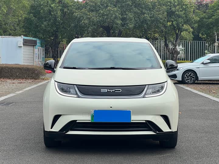 Фото 2 - BYD Dolphin