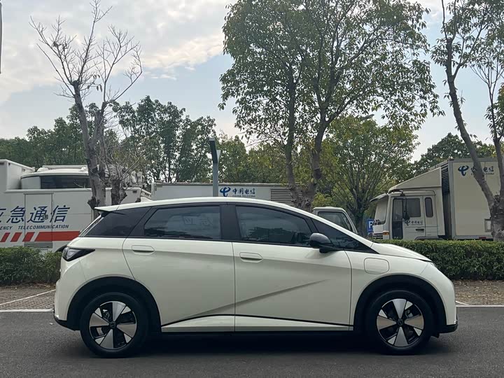 Фото 4 - BYD Dolphin