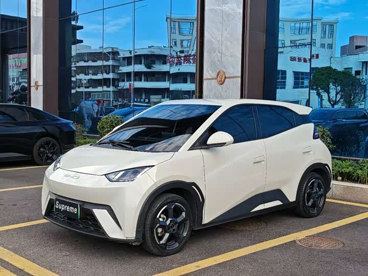 Фото 1 - BYD Seagull