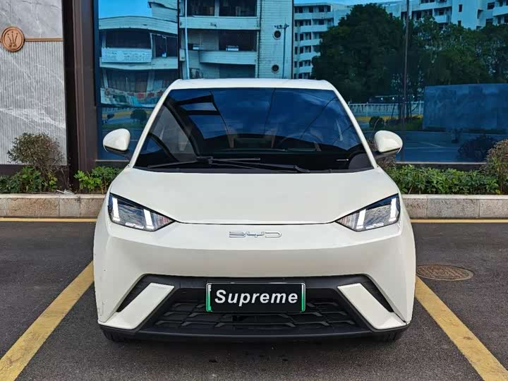 Фото 2 - BYD Seagull