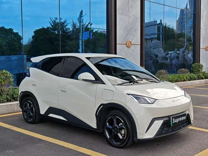 Фото 3 - BYD Seagull