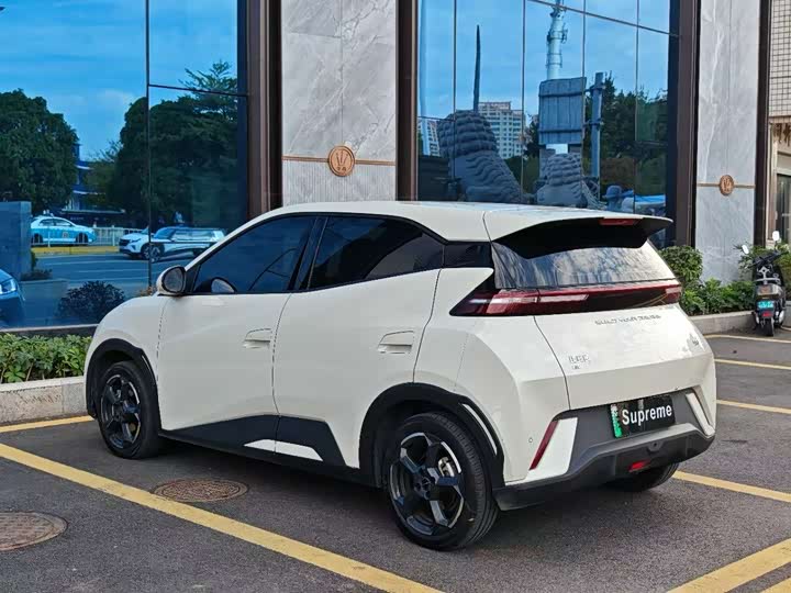 Фото 7 - BYD Seagull