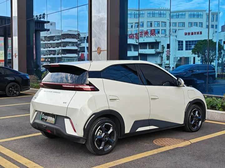 Фото 9 - BYD Seagull