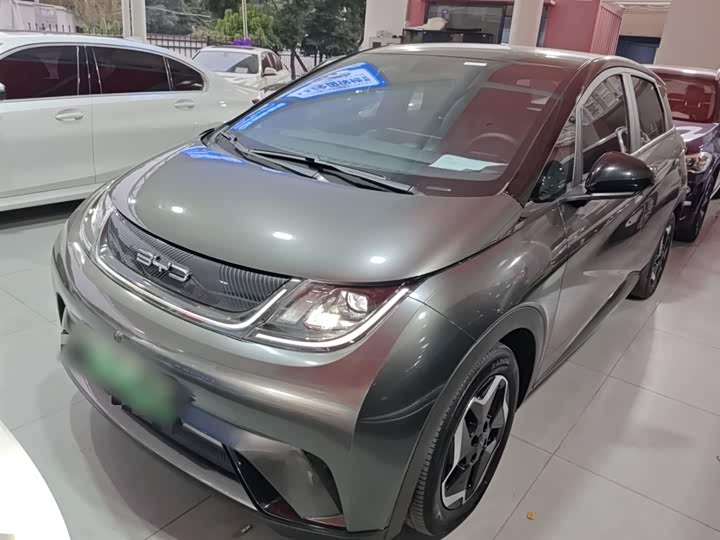 Фото 1 - BYD Dolphin