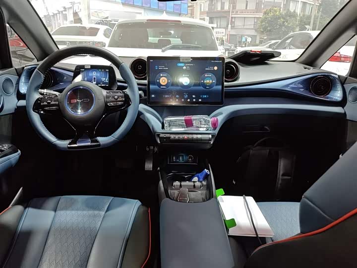 Фото 10 - BYD Dolphin