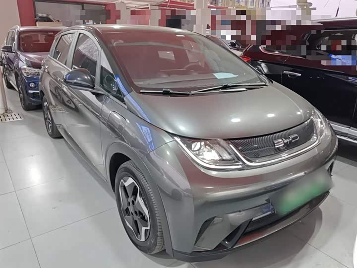 Фото 4 - BYD Dolphin