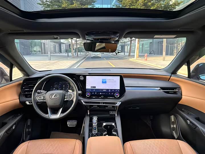 Фото 12 - Lexus RX