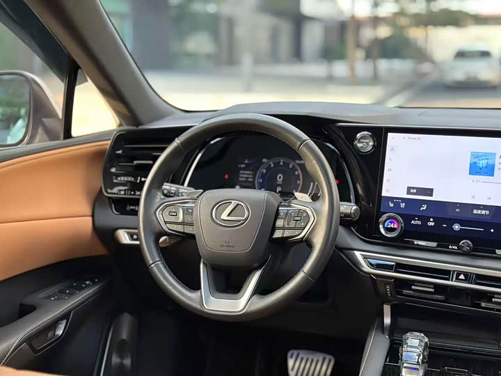 Фото 13 - Lexus RX