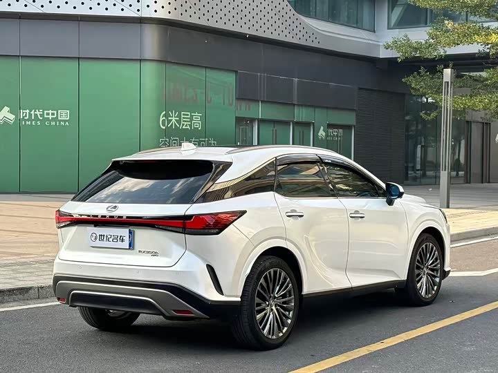 Фото 14 - Lexus RX