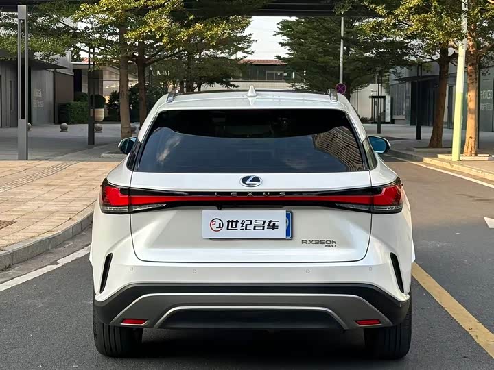 Фото 15 - Lexus RX