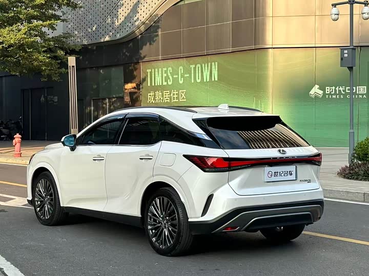 Фото 16 - Lexus RX