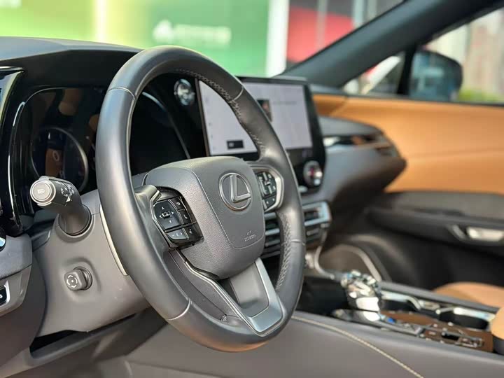 Фото 6 - Lexus RX