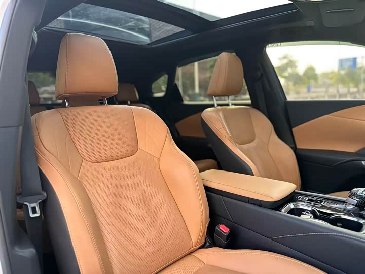 Фото 9 - Lexus RX