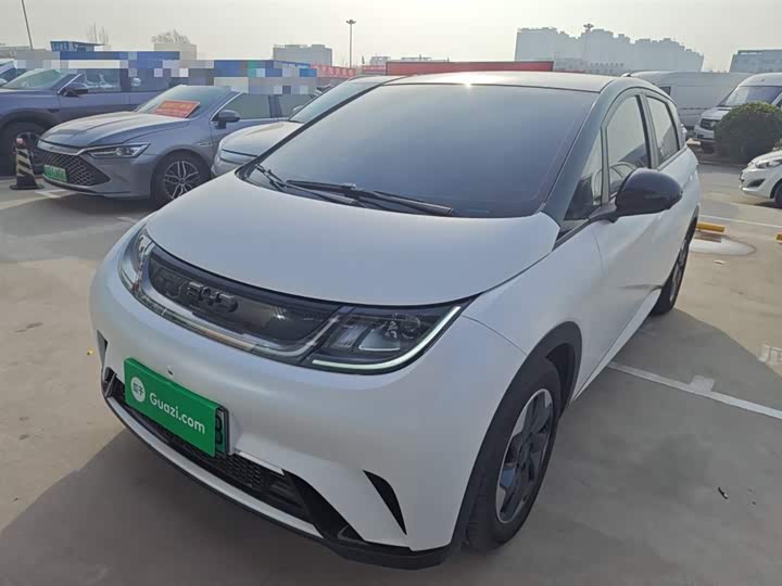 Фото 1 - BYD Dolphin