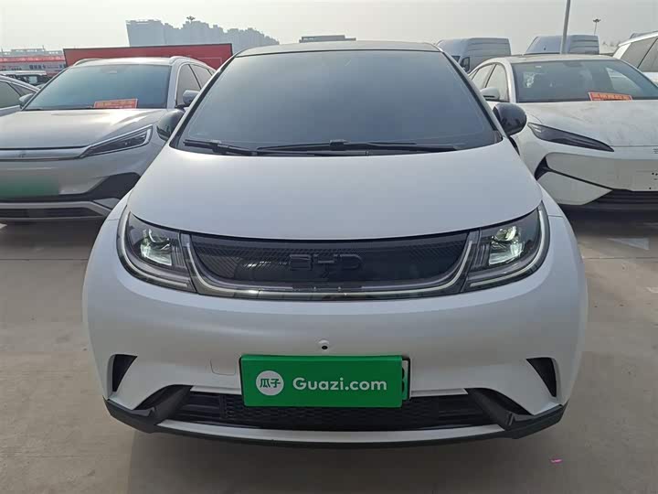 Фото 3 - BYD Dolphin