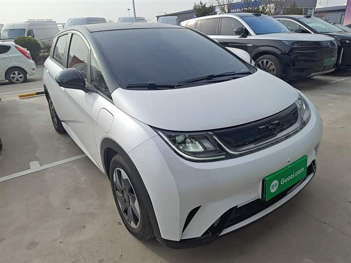 Фото 4 - BYD Dolphin