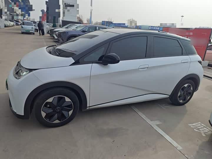 Фото 5 - BYD Dolphin