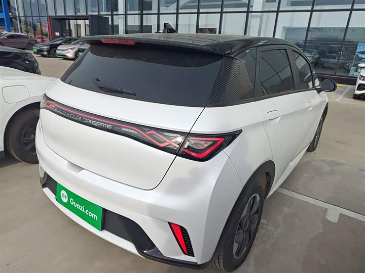 Фото 7 - BYD Dolphin