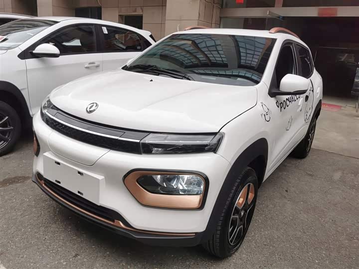 Фото 1 - Dongfeng Nammi Nano EX1