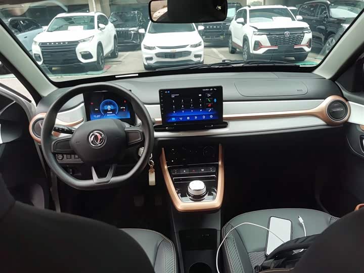 Фото 10 - Dongfeng Nammi Nano EX1