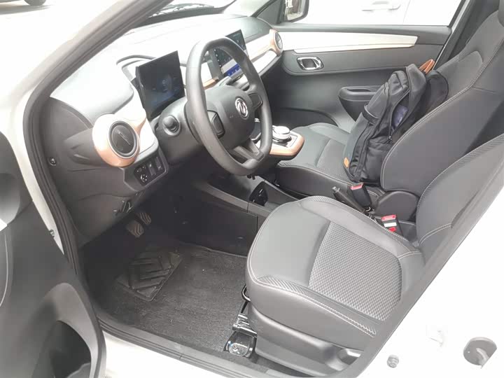 Фото 15 - Dongfeng Nammi Nano EX1