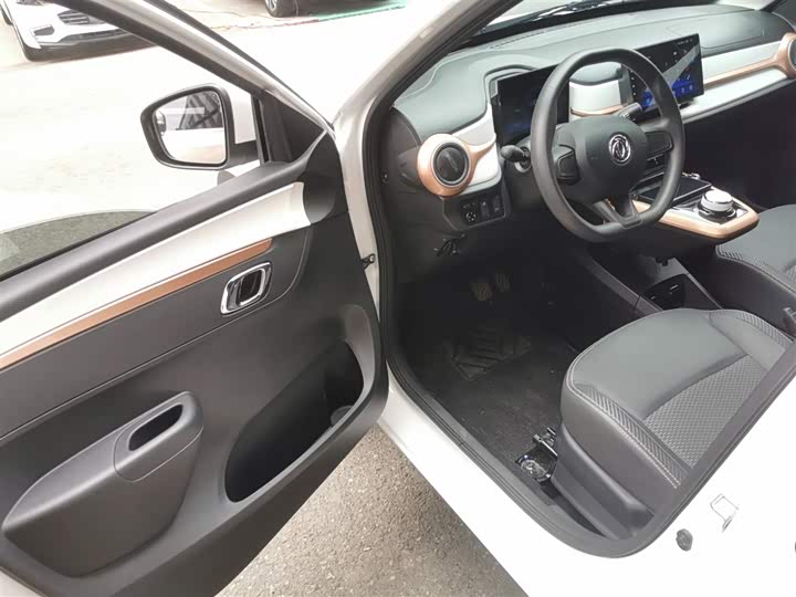 Фото 16 - Dongfeng Nammi Nano EX1