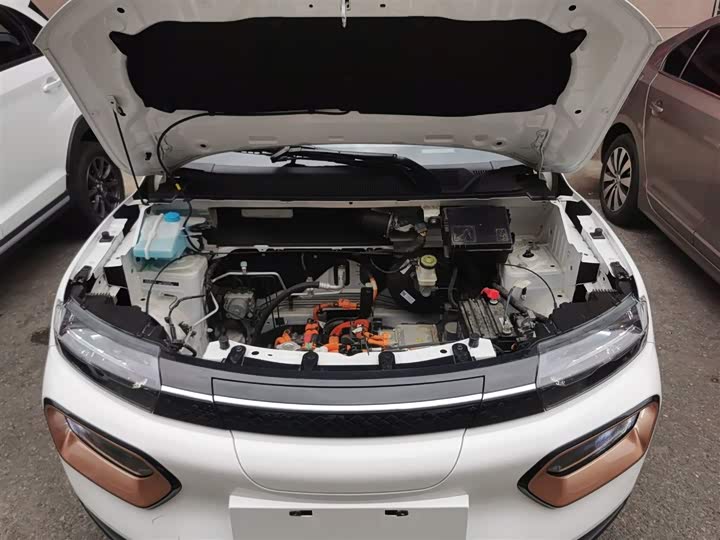 Фото 20 - Dongfeng Nammi Nano EX1