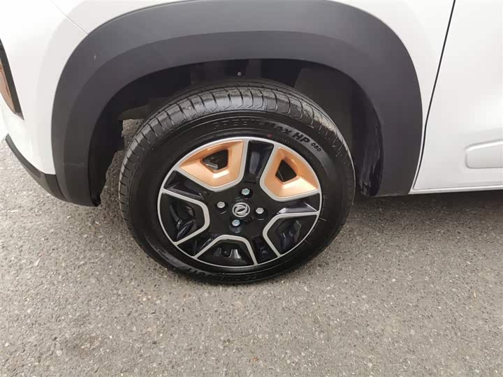 Фото 23 - Dongfeng Nammi Nano EX1