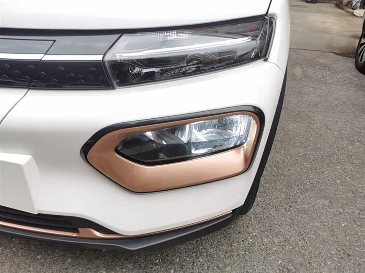 Фото 24 - Dongfeng Nammi Nano EX1