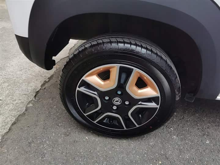 Фото 26 - Dongfeng Nammi Nano EX1