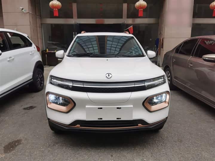 Фото 3 - Dongfeng Nammi Nano EX1