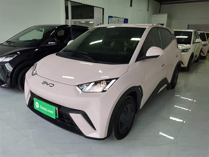 Фото 2 - BYD Seagull