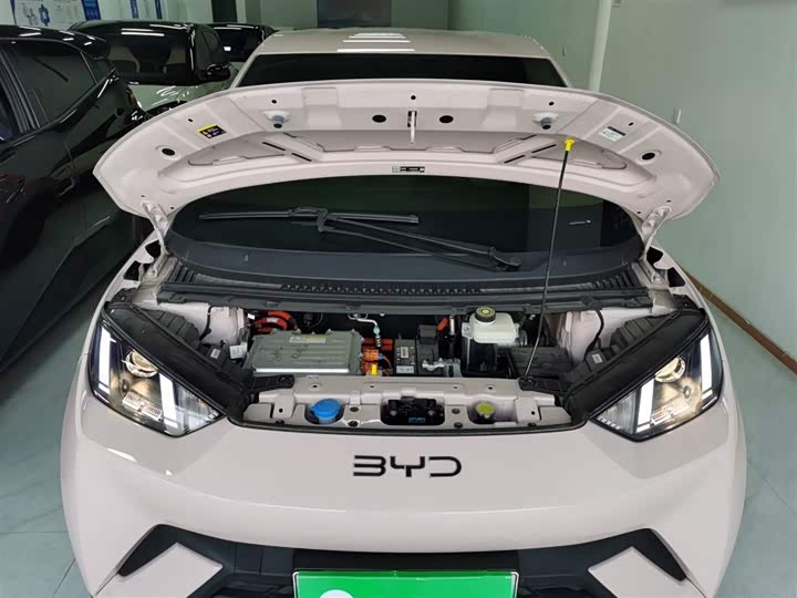 Фото 20 - BYD Seagull