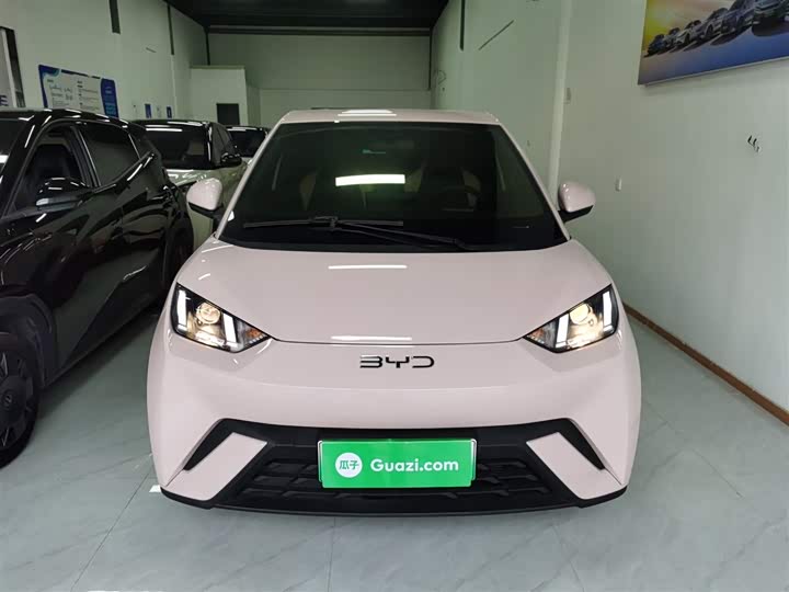 Фото 3 - BYD Seagull