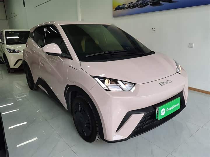 Фото 4 - BYD Seagull