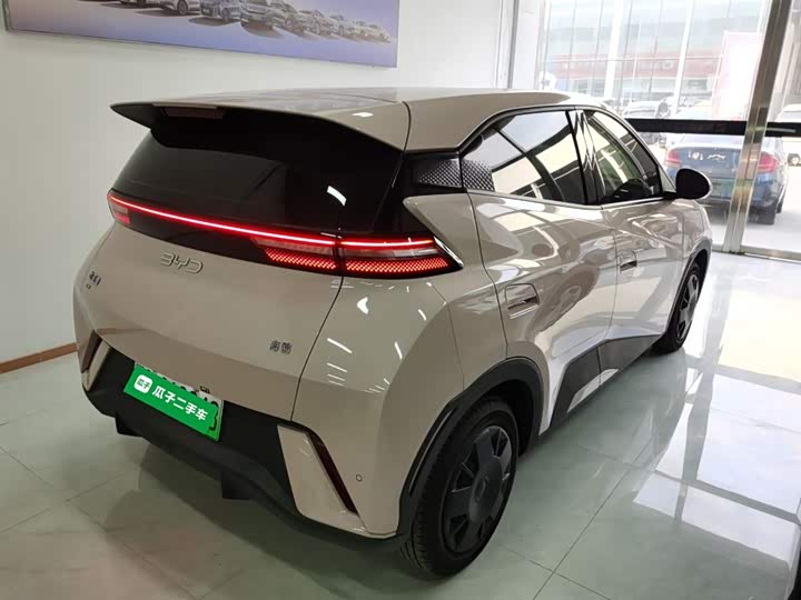 Фото 7 - BYD Seagull