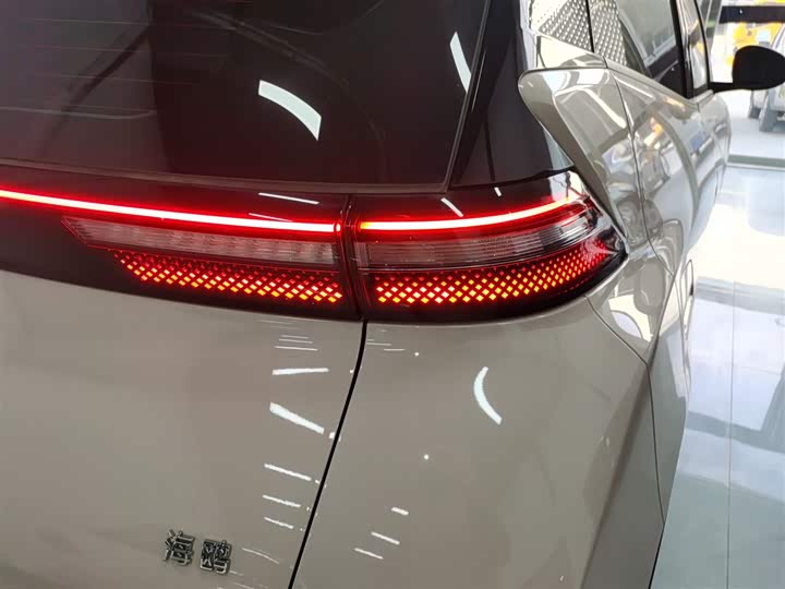 Фото 8 - BYD Seagull