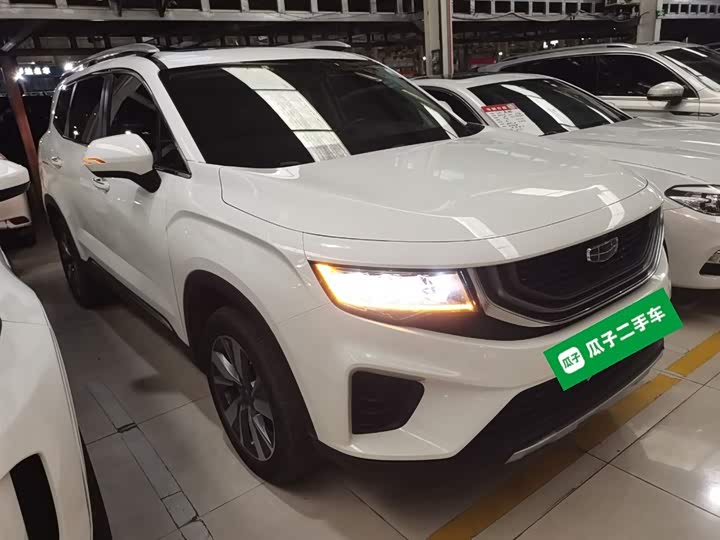 Фото 4 - Geely Okavango