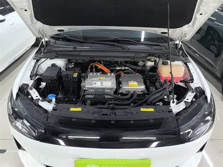 Фото 20 - XPeng P5