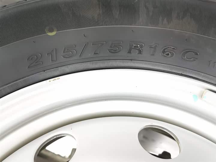 Фото 24 - Foton Tuyano