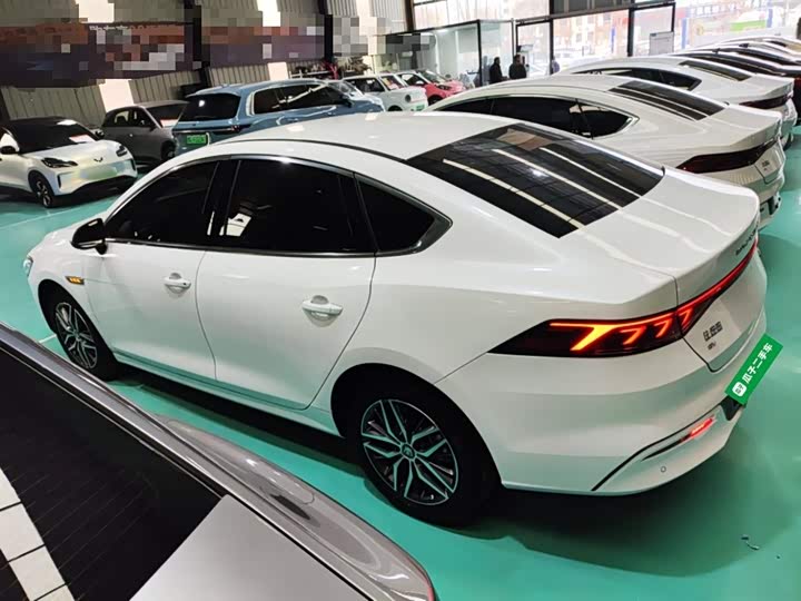 Фото 5 - BYD Qin Plus