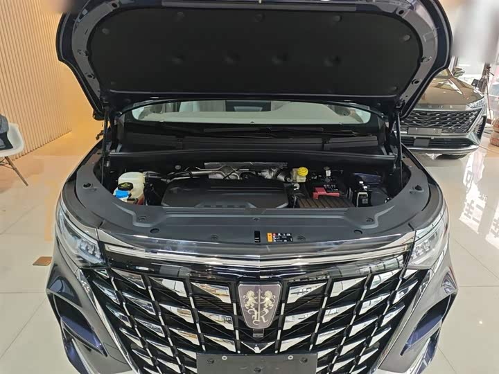 Фото 20 - Roewe iMax 8