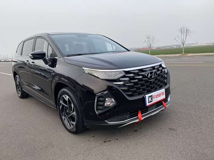 Фото 3 - Hyundai Custo