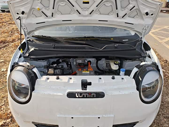 Фото 20 - Changan Qiyuan (Nevo) Lumin