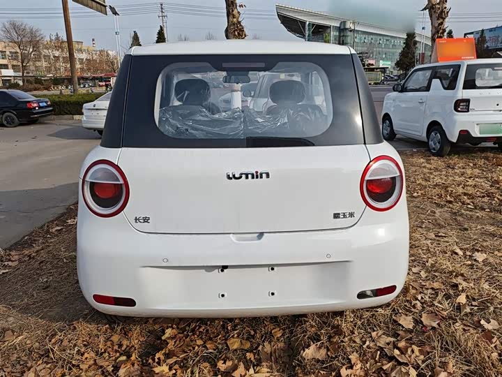 Фото 6 - Changan Qiyuan (Nevo) Lumin