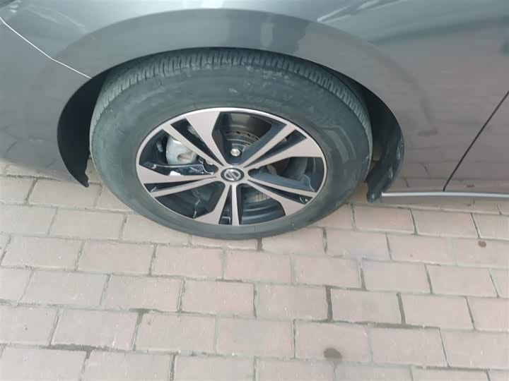 Фото 23 - Nissan Sylphy