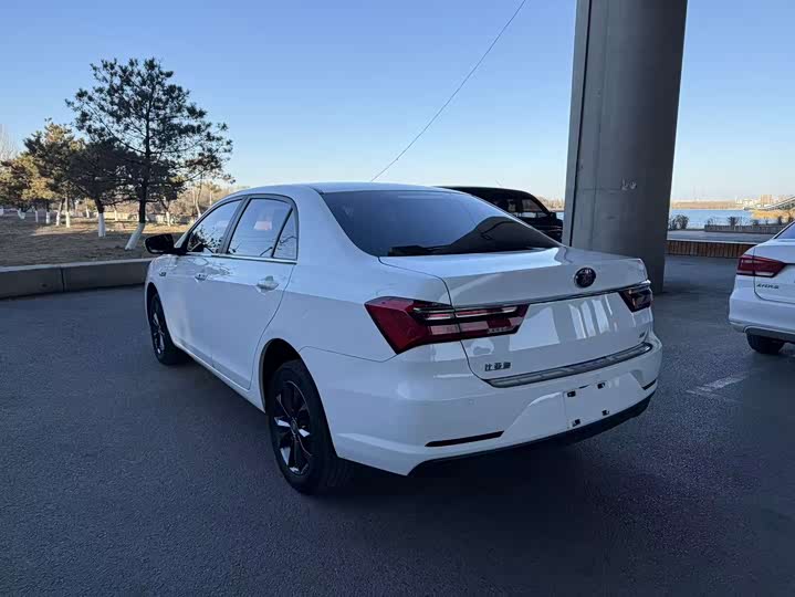 Фото 6 - BYD Qin EV