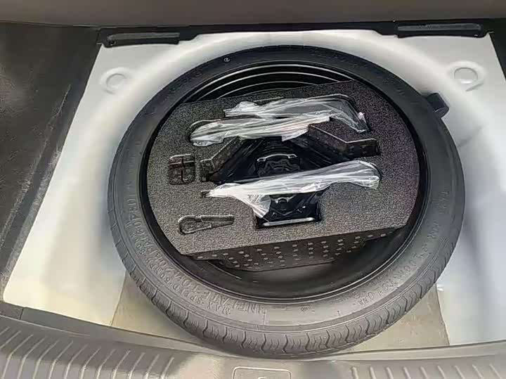 Фото 23 - GAC Trumpchi Empow R